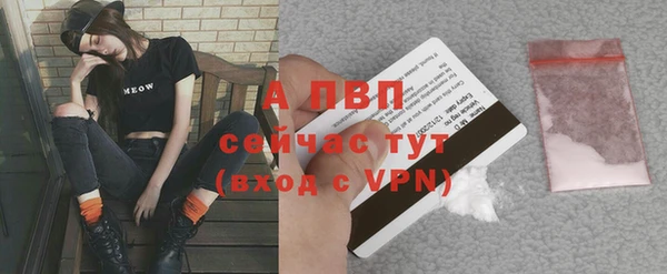 стафф Каменногорск