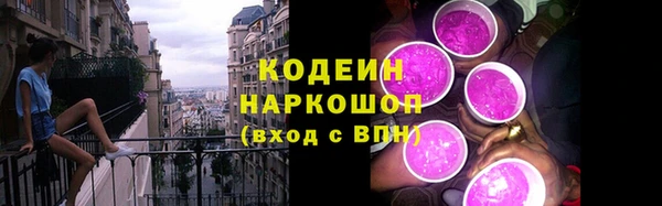 стафф Каменногорск