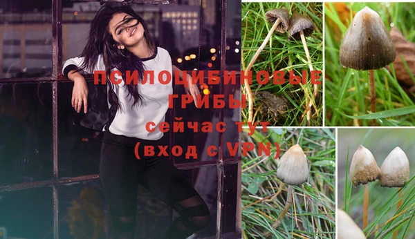 spice Каменск-Шахтинский