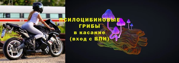 стафф Каменногорск